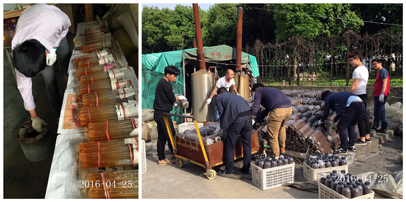 合肥立新食用菌培训基地学员实习食用菌栽培技术3