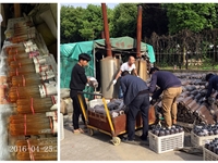 合肥市庐阳区食用菌协会学员实习食用菌栽培技术3