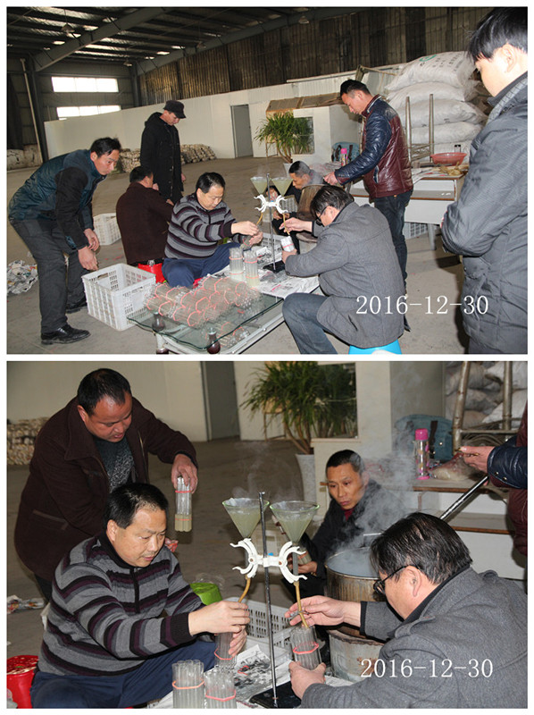 合肥立新食用菌培训基地学员实习液体菌种制作
