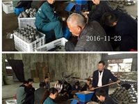 合肥市庐阳区食用菌协会学员实习食用菌菌种制作技术