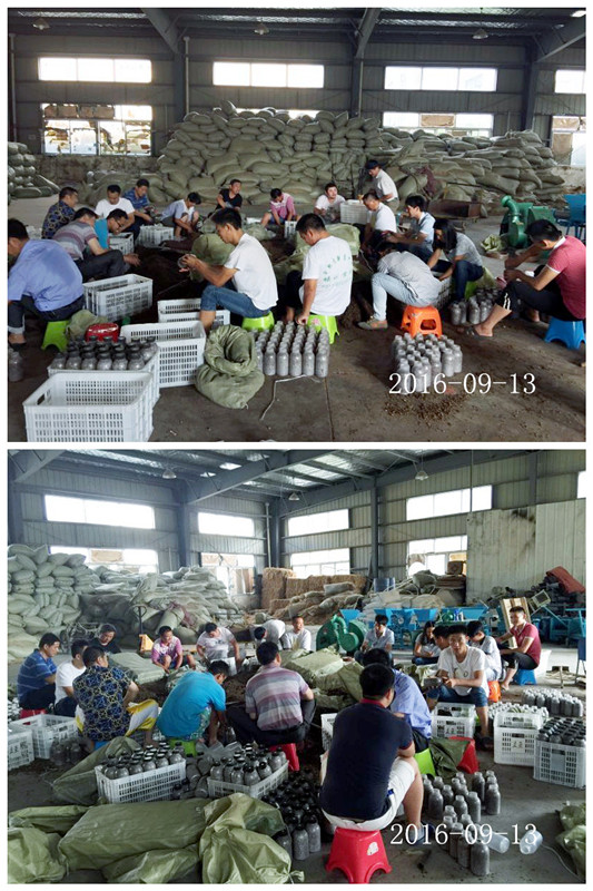 合肥立新食用菌培训学校学员实习食用菌菌种制作技术3