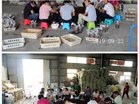 合肥市庐阳区食用菌协会学员实习食用菌栽培技术3