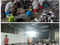 合肥市庐阳区食用菌协会学员实习食用菌栽培技术4