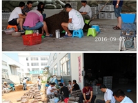 合肥市庐阳区食用菌协会学员实习食用菌栽培技术65