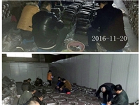 合肥市庐阳区食用菌协会学员实习食用菌栽培技术---平菇、秀珍菇、榆黄菇等生产接种