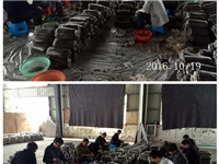 合肥市庐阳区食用菌协会学员实习食用菌栽培技术---生产接种