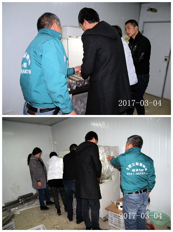 合肥立新食用菌培训学校学员实习香菇、木耳、猴头、银耳、灵芝等生产接种