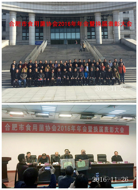 合肥市食用菌协会2016年会暨换届表彰大会在安徽农业大学召开