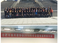 合肥市食用菌协会2016年会暨换届表...