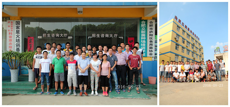 2016年8月23日合肥立新菌种场培训基地学员在合肥立新食用菌培训学校合影留念