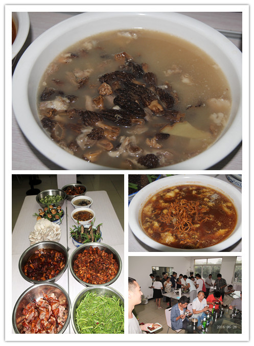 2016年6月26日合肥立新食用菌培训j基地学员在校食堂小聚餐