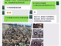 2017年3月陕西商洛学员成功种植羊...