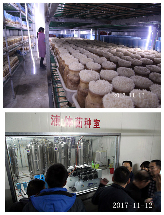 合肥市庐阳区食用菌协会学员在液体菌种生产培训基地参观学习