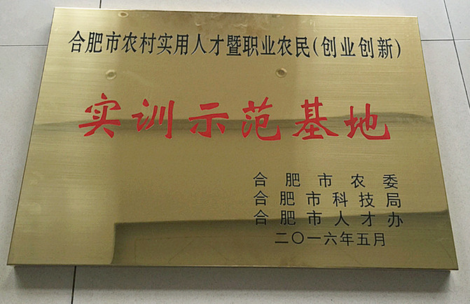 2016年度合肥市农村实用人才暨职业农民（创业创新）实训示范基地