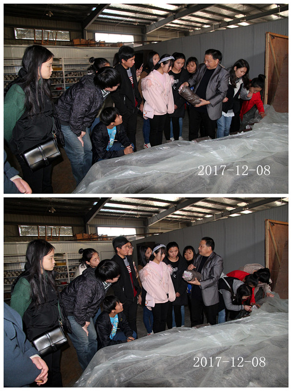 合肥立新菌种场培训学校学员听老师讲生产包的菌丝培养方法
