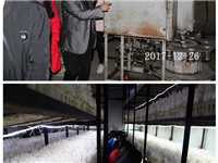 合肥市庐阳区菌种场培训学校学员在海鲜菇种植培训基地
