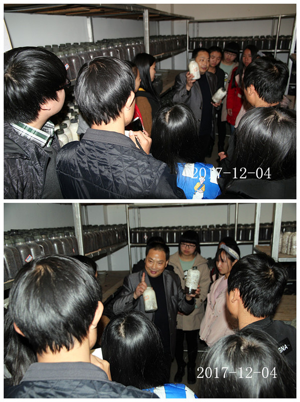 合肥立新菌种场培训学校学员在菌种室听老师讲菌种培养的注意方式