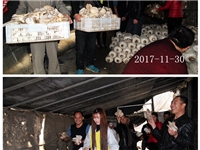 合肥市庐阳区菌种场培训学校学员在平菇种植基地采摘自己的劳动果实