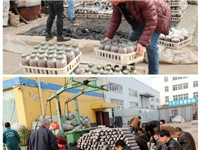 合肥市庐阳区食用菌培训学校学员实习生产制袋及菌种制作