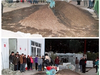 合肥市庐阳区食用菌培训学校学员实习食用菌栽培技术---生产拌料