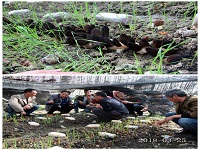 合肥立新菌种场培训学校学员在羊肚菌种植培训基地