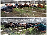 合肥立新菌种场培训学校学员在羊肚菌种植培训基地