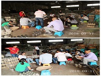 合肥立新食用菌培训学校学员实习羊肚菌的菌种制作技术