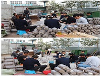合肥立新食用菌培训基地学员实习生产装袋